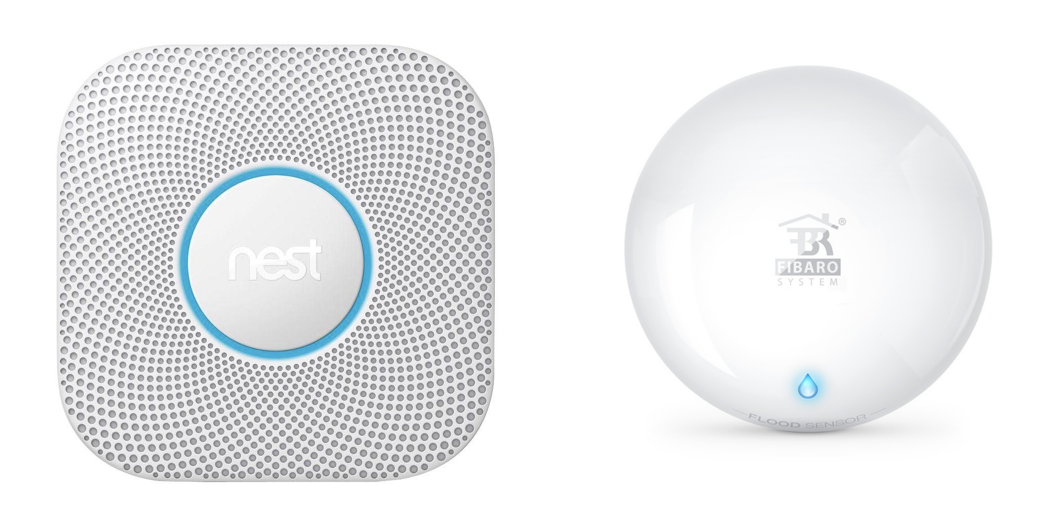 Nest