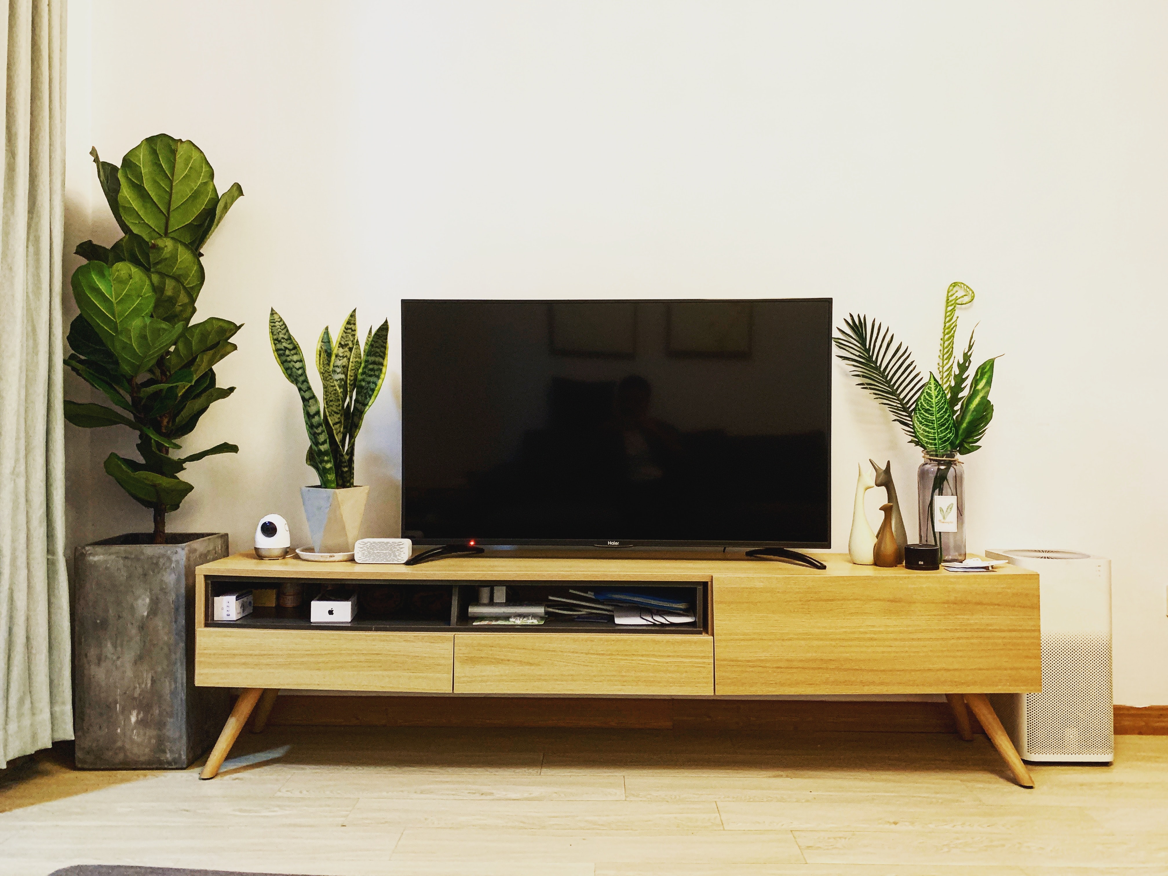 Smart TV